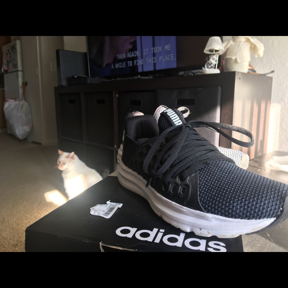 Black pumas